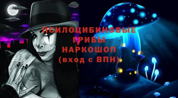 прущий лед Алзамай