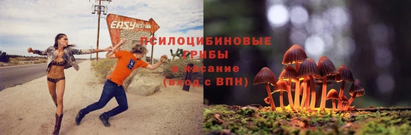 прущий лед Алзамай