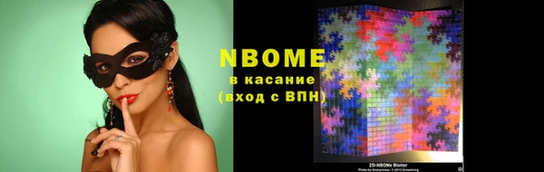 прущий лед Алзамай