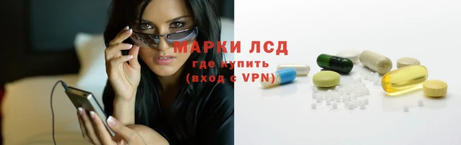 стафф Алексин