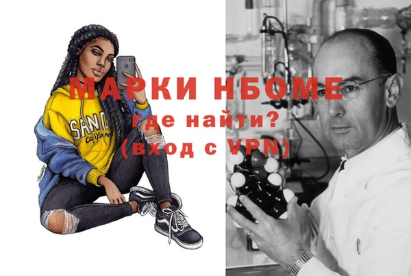 прущий лед Алзамай