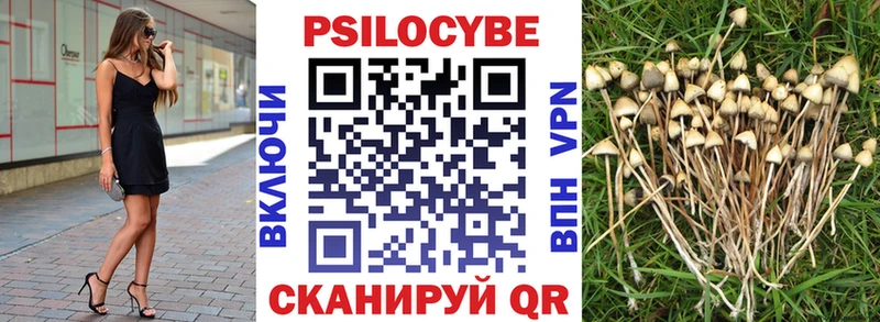 купить закладку  Арск  Галлюциногенные грибы мухоморы 